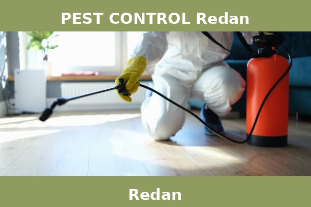 PEST CONTROL Redan